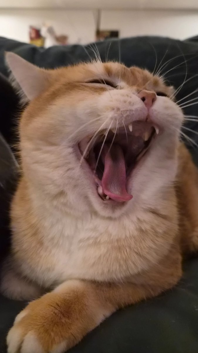 [#INSTAGRAM] Sunmi story update.

🔗 instagram.com/stories/miyaye…

#SUNMI #선미