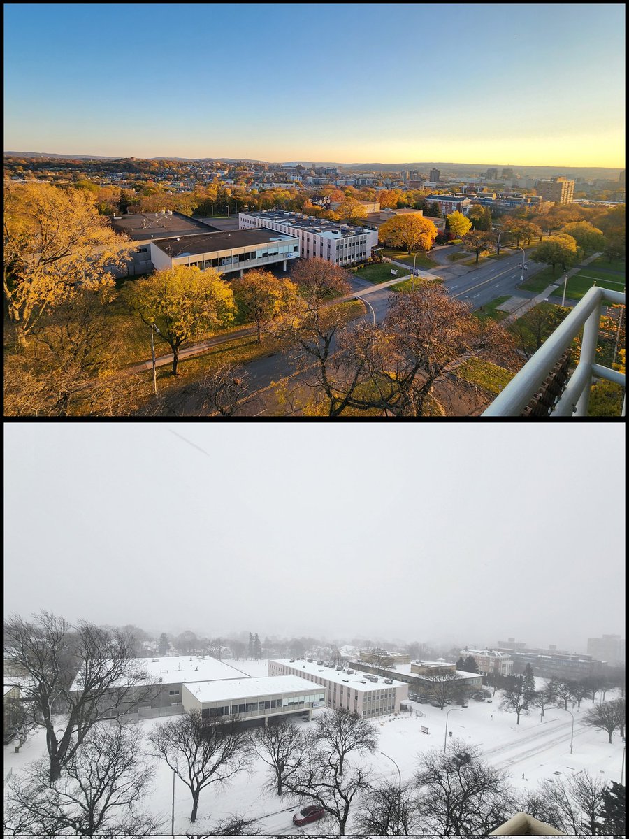 Matt Saffer tweet media