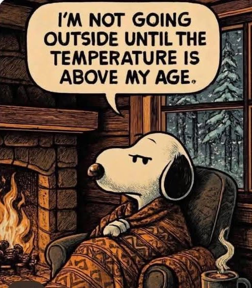 Spill The Memes tweet media