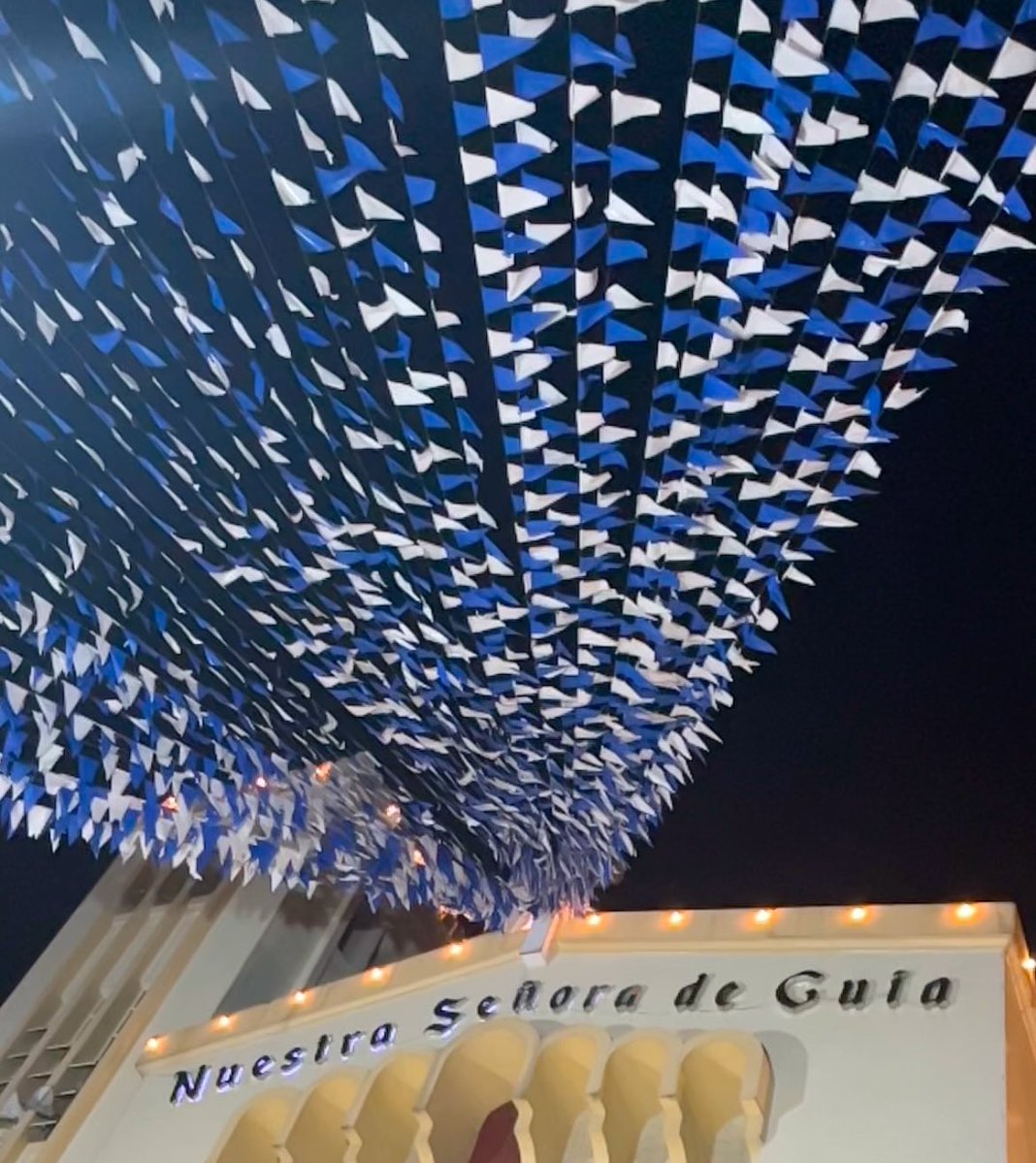 TeN's tweet image. Priest’s homily tonight. i was like “are you on X father?”  he wasnt explicit but lets just say we’re praying for the same things we find very disconcerting these days.

There’s a certain tone some homilies have lately where i’m sitting there thinking, “This is  either wisdom…