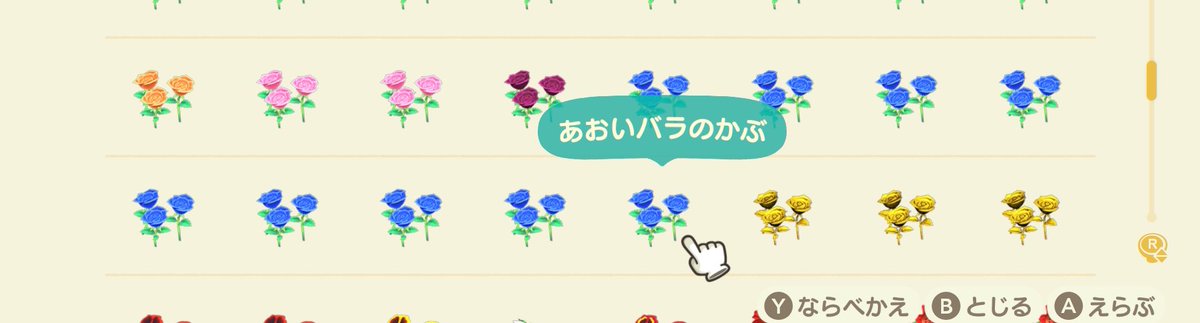 u__u_os's tweet photo. あおぞら島様（@aozora_tou ）から青バラ金バラたくさんいただきました✨️🌹

ありがとうございました🙇‍♀️🟦
 #あつ森 https://t.co/YEJKf0EqRk