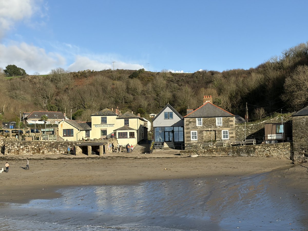 Pat 🐝 tweet media