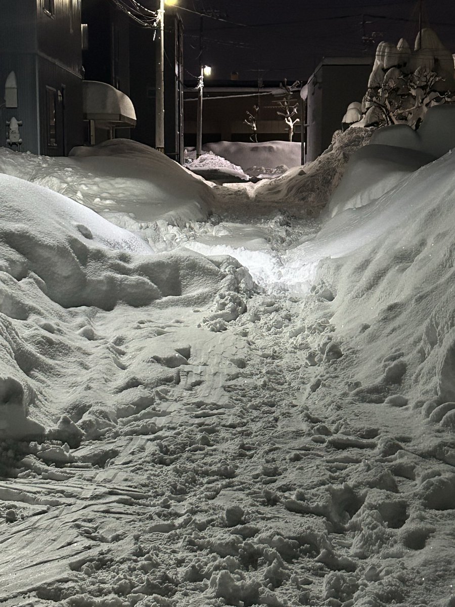 165_nhf's tweet photo. この雪じゃあ除雪業者さんも会社に行くのも大変だよね https://t.co/pmupBzDnsn