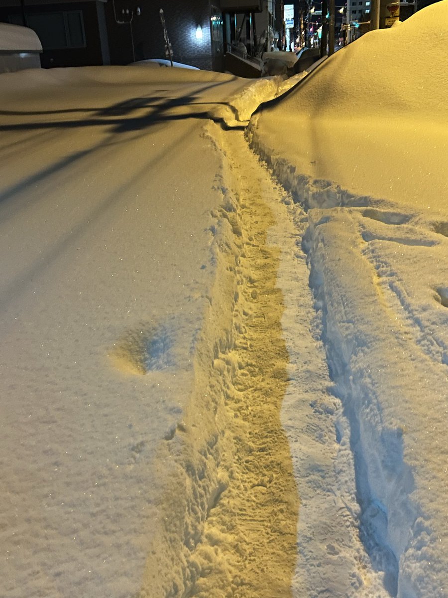 165_nhf's tweet photo. この雪じゃあ除雪業者さんも会社に行くのも大変だよね https://t.co/pmupBzDnsn