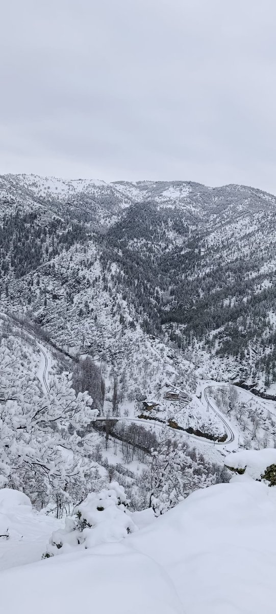 TAKİP et👈
🌅 RT yap 🔁
🌅 BEĞEN ❤️
🌅 Yoruma GT yaz 🖊️
🌅 GT yazanları takip et 👥
🌅 follow and follow back 🔃
#karyağışı
#Bayrak #BayrakNamustur