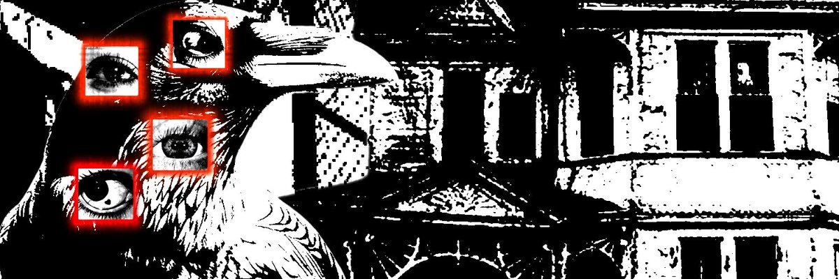 SULUH (ME/BEL) tweet media