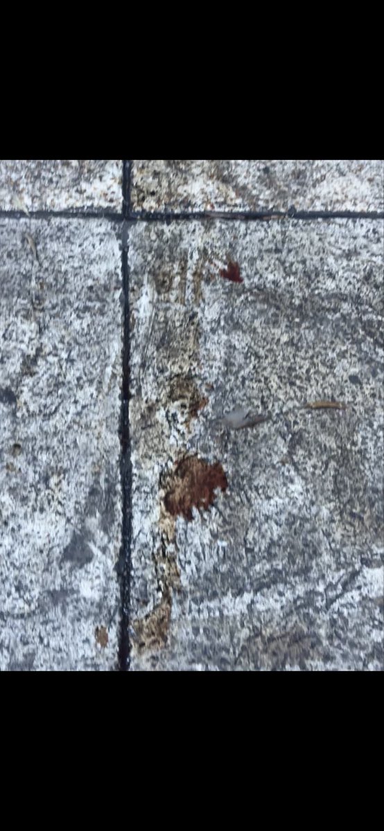 monkolin's tweet photo. @COFEPRIS metí una denuncia en línea porque el Restaurante Don Asado ubicado en Calle Río Lerma 210, Cuauhtémoc, 06500 Ciudad de México, CDMX, tiene Manejo inadecuado de residuos biológico-infecciosos / condiciones insalubres. 
@locatel_mx @AlcCuauhtemocMx https://t.co/v0OPLGyZsb