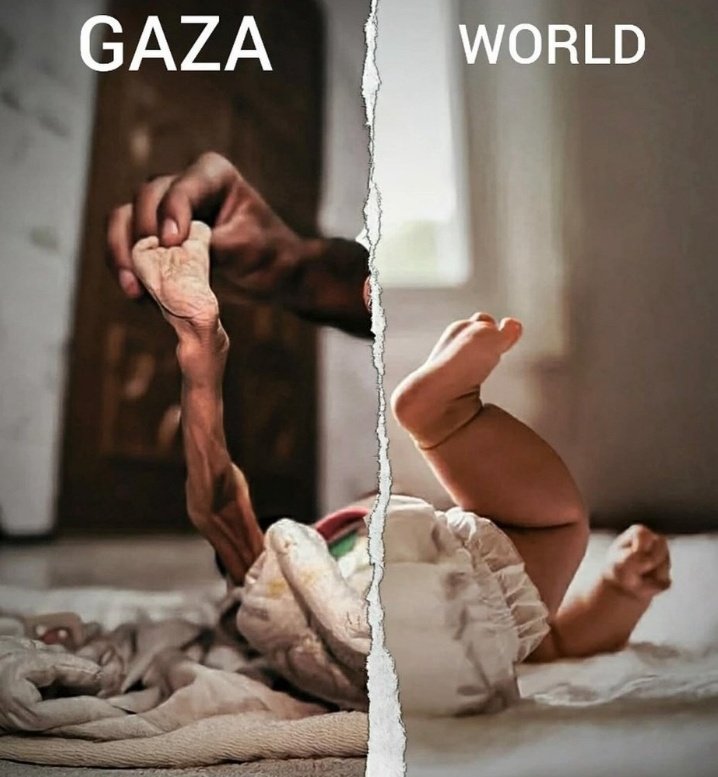 FadiQGaza's tweet image. MY CHILD IS DYING😭

︎
︎

︎

︎

︎

︎
︎

︎

︎

︎

we’ll remind you
︎

︎

︎

︎

︎
︎

︎

︎

︎

︎
︎

︎
︎

︎
︎

︎

︎

︎

︎
︎

︎

︎

︎
that
︎

︎

︎

︎

︎

︎
︎

︎

︎

︎

︎
︎
︎

I desperately need milk for my baby🍼

gofund.me/dc9dc57b0