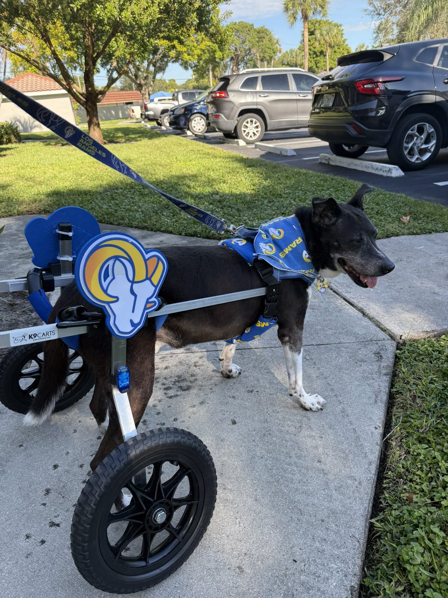 kat 🇺🇦🇻🇮 tweet media