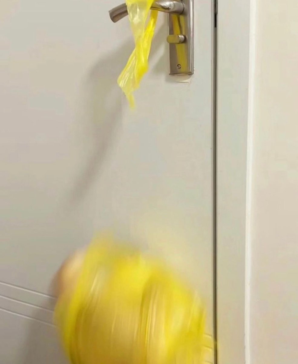 nocontextscats's tweet photo. NOOOOOOOOOO 😭 https://t.co/pzvja8eMFG