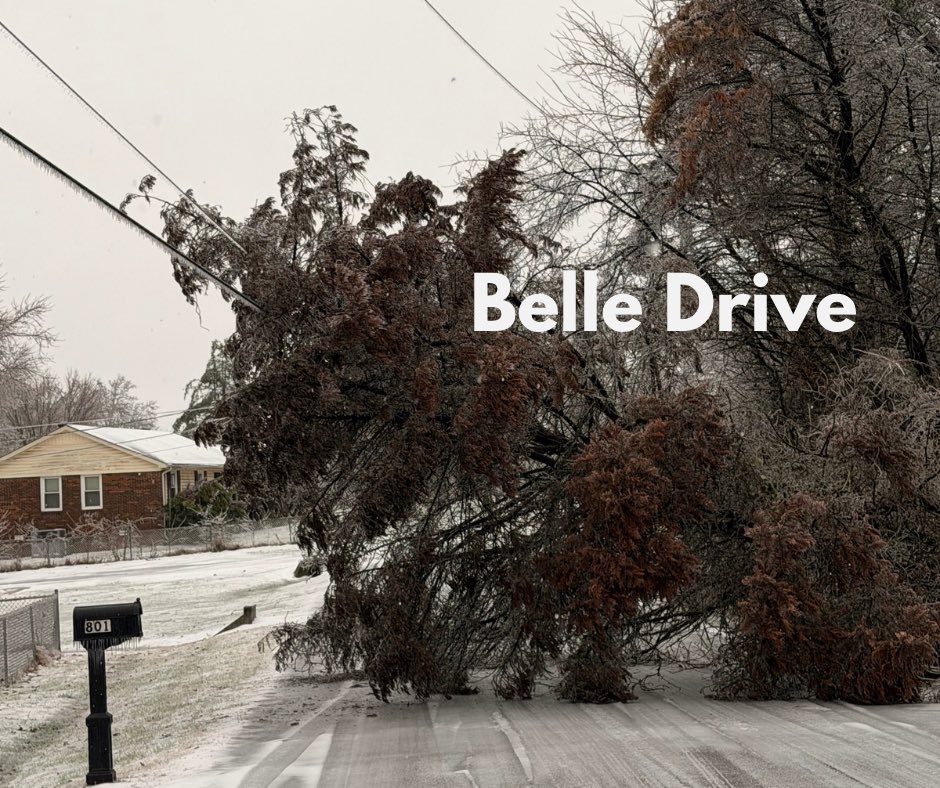 Spring Hill Police tweet media