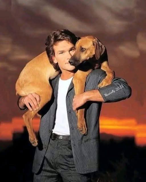 AdeaClaude's tweet image. Patrick Swayze a dit un jour : 
"Ils m'ont dit que ma maison sentait le chien, et je leur ai demandé : savez-vous ce que sent un chien ?
Ça sent la gratitude, la loyauté, l'affection, l'amour pur et inconditionnel.
Alors, je me sens bénie que ma maison sente le chien".