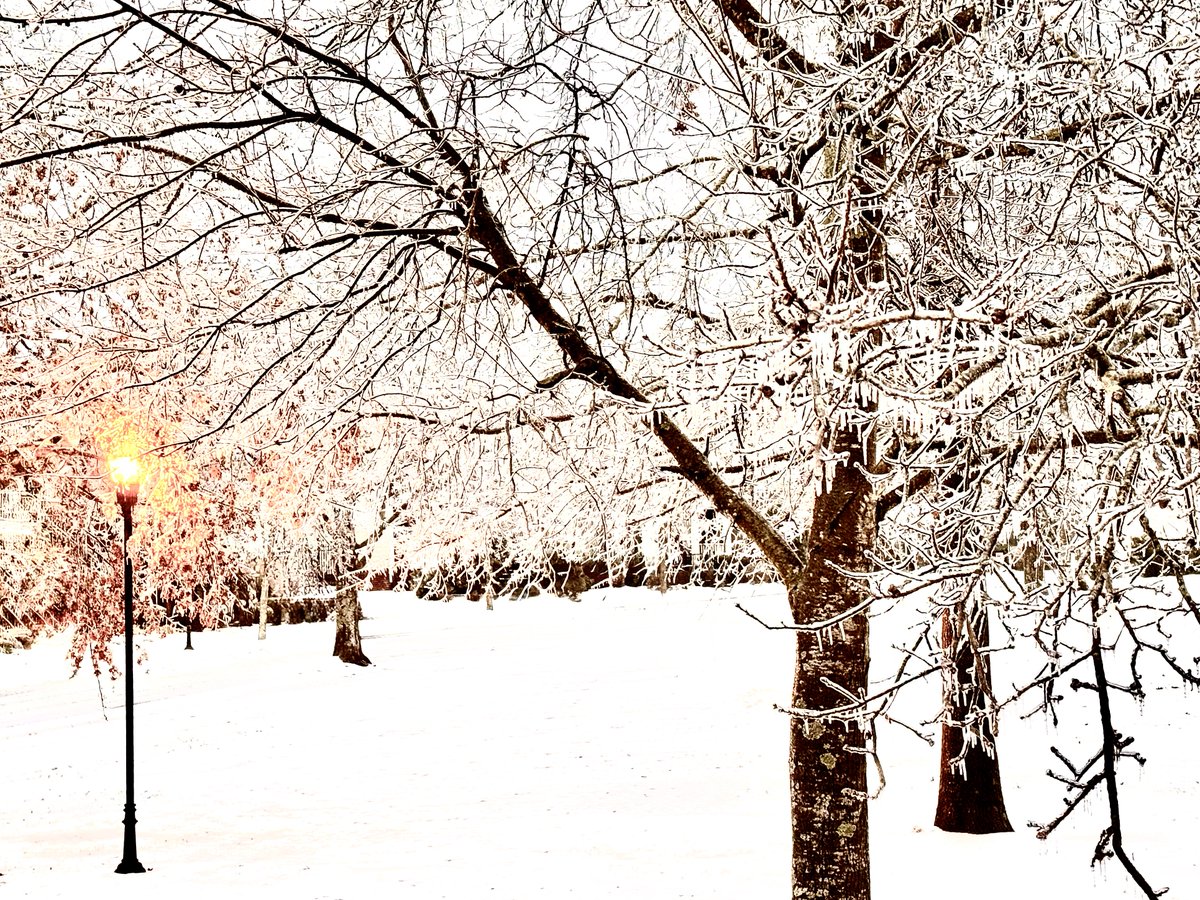 Gileskirk (@grantstandfast) on Twitter photo 