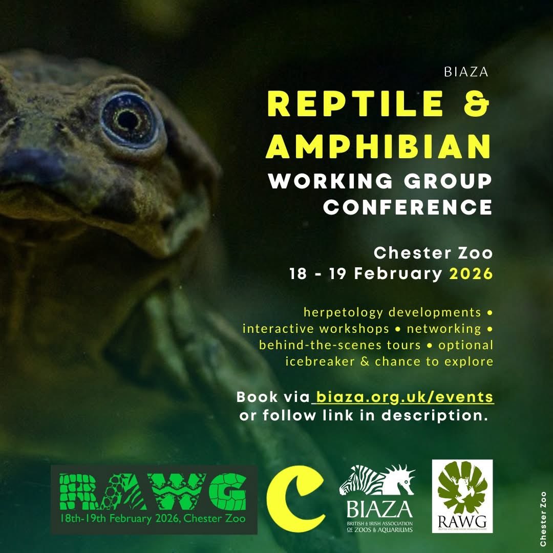 British Herpetological Society tweet media