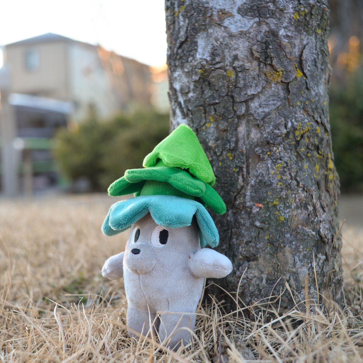 あらいきりこ@月火水は個展お休み (@mokuseiap) / Posts / X