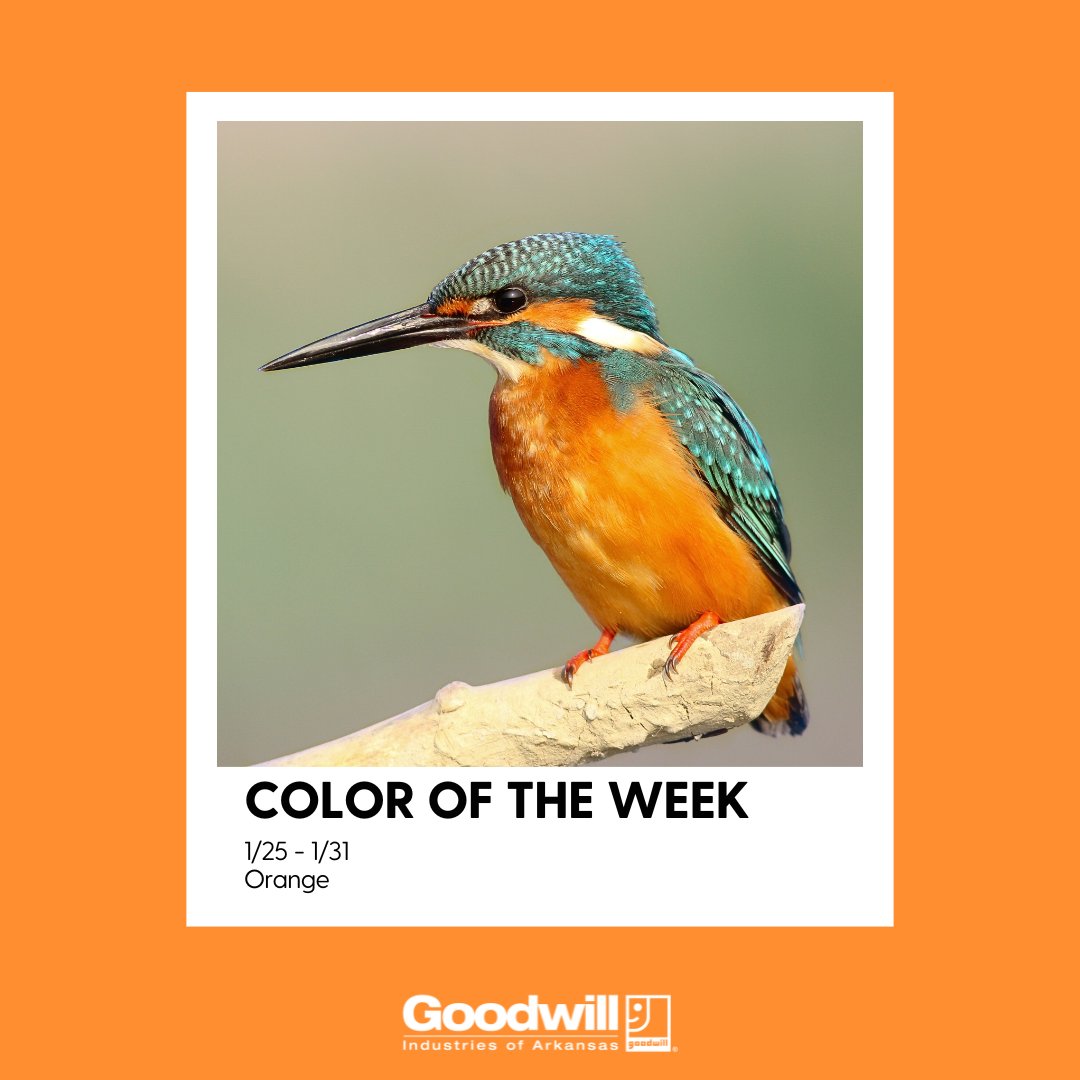 Goodwill Arkansas tweet media
