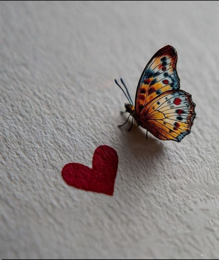 InnaEdgn's tweet image. ✨✨✨