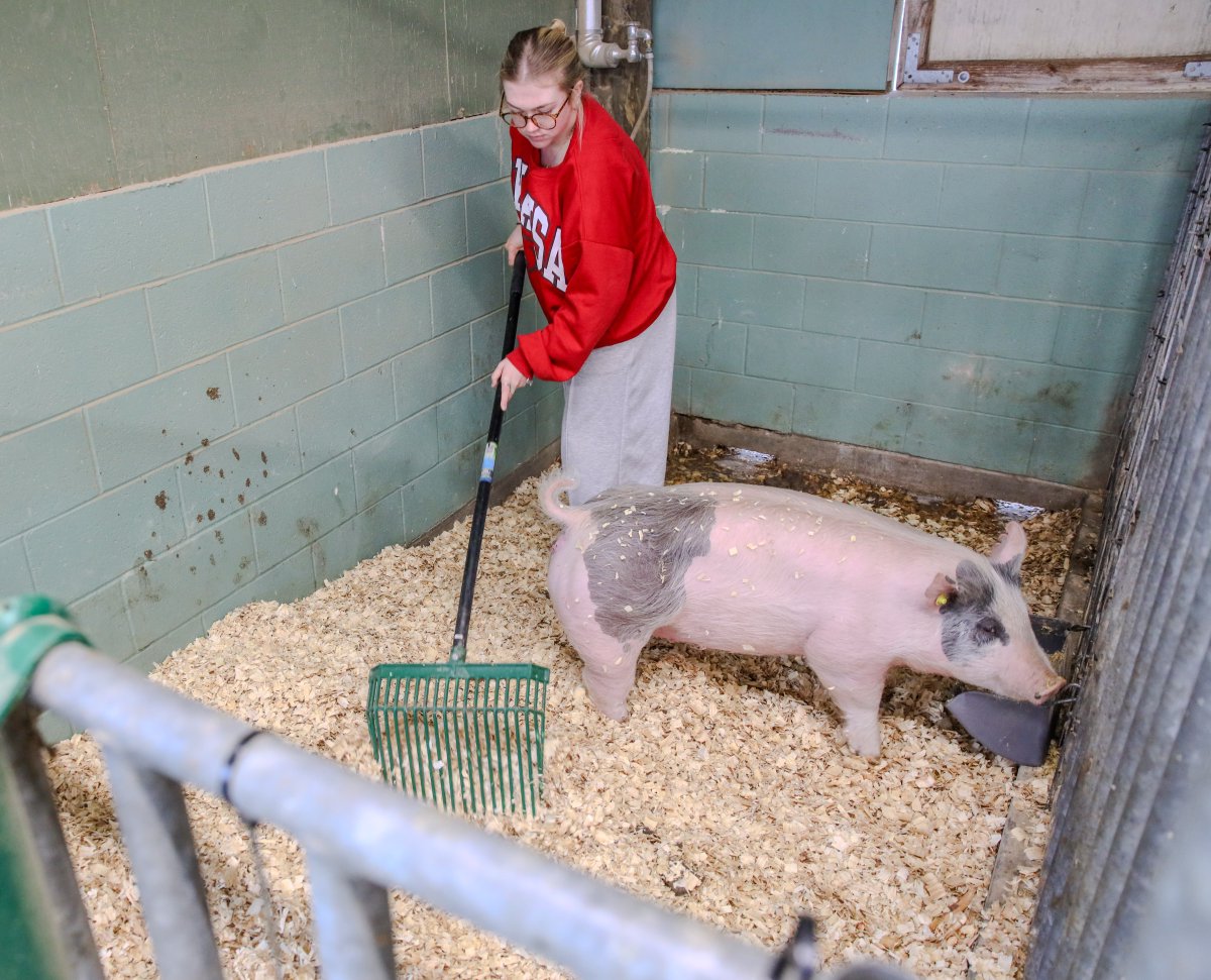 Preparations were under way across the District ahead of the cold weather. Students helped move animals into warmer shelters, laid fresh bedding and secured feed and water to protect livestock as temperatures drop. District teams continue to monitor conditions and share updates.