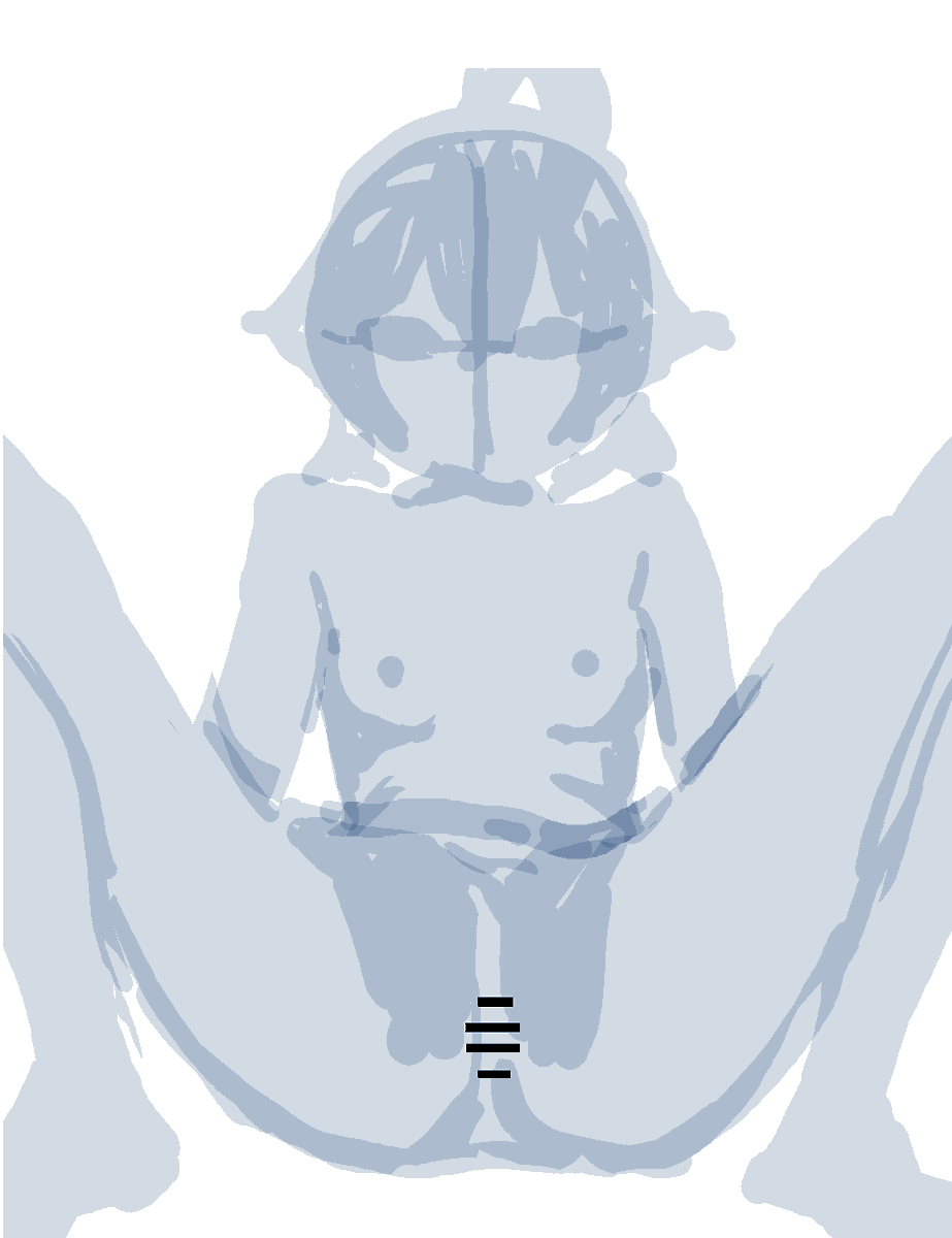 ホシノ
ちょっと前に話題になった描き方で描いてみた
大体30分くらい
線でアタリを取るよりも思考がダイレクトに反映されてるような感じはしたかもしれない...
なんか左右反転して確認しなくてもそんなに崩れないような気がする 