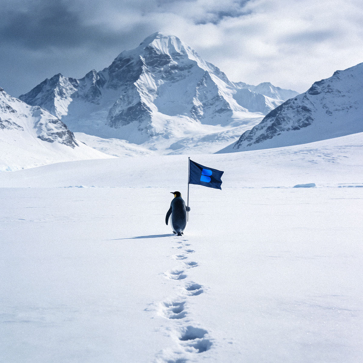 Based_Penguin1's tweet image. GM Based $Penguin