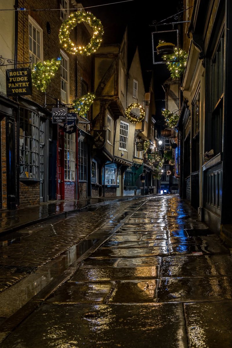 WanderLens tweet media