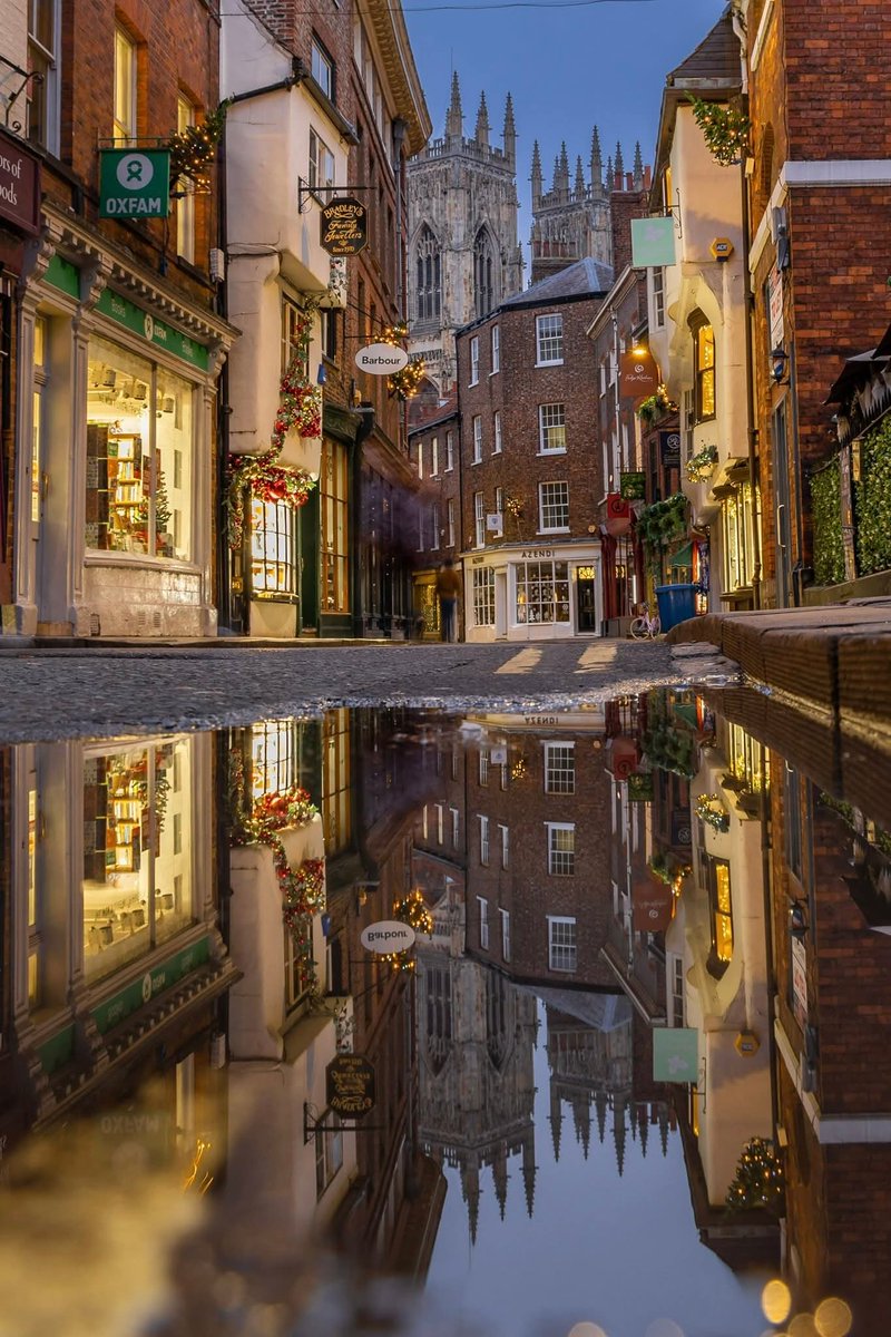 WanderLens tweet media