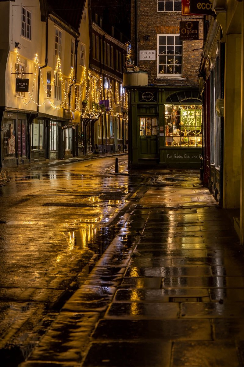 WanderLens tweet media