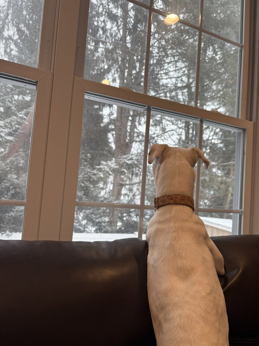 Mallory - Reading Teacher 🍎📚 tweet media