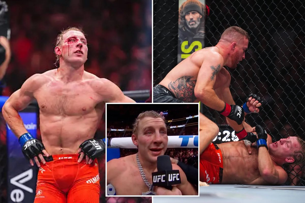 BizoMedia tweet media