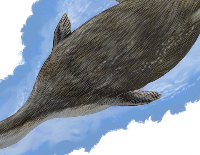 Chupkaornis keraorum