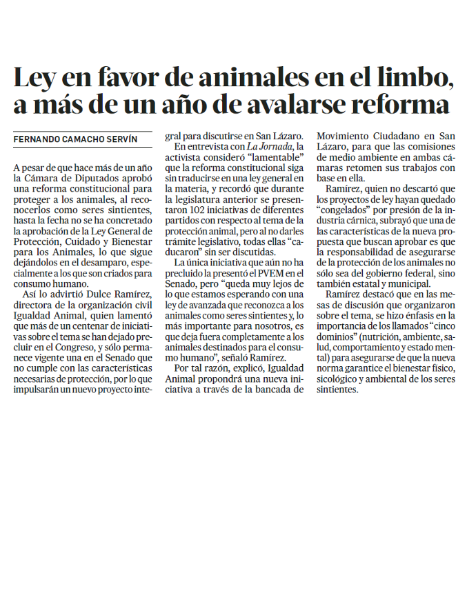 Juan Ortiz 🗳️👁‍🗨 tweet media