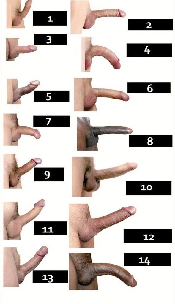 Per Vert tweet media