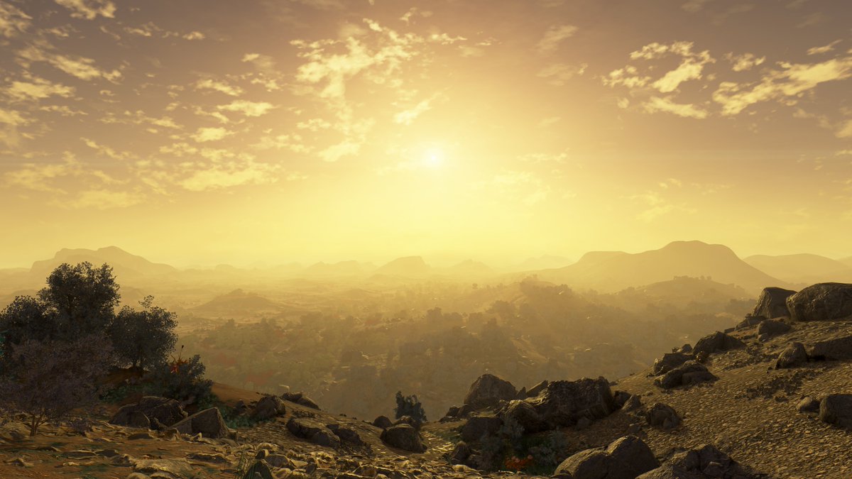 The Overboss 💀 tweet media