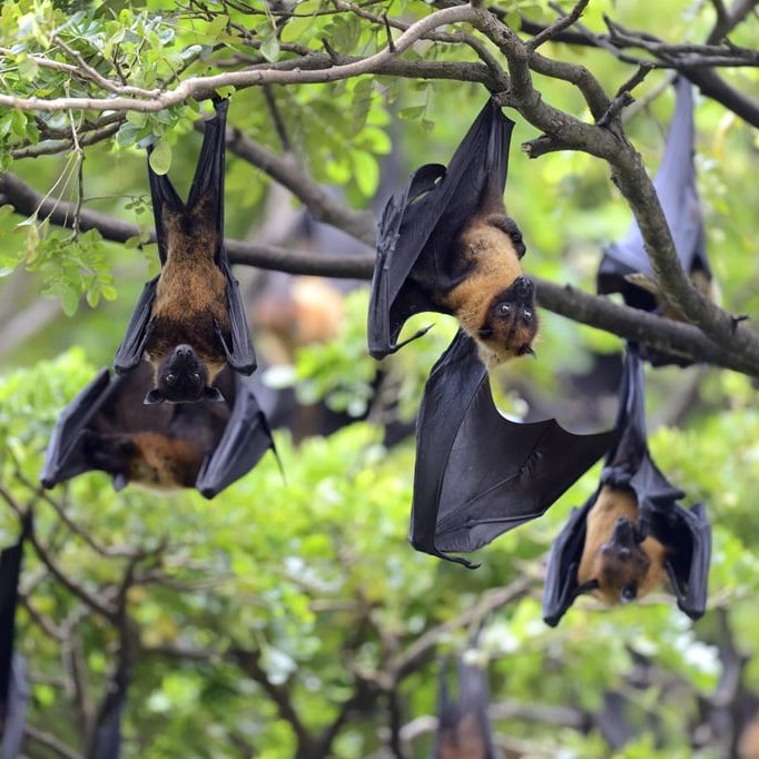 Globe Eye News tweet media