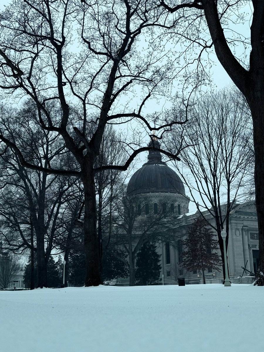 Navy Athletics tweet media