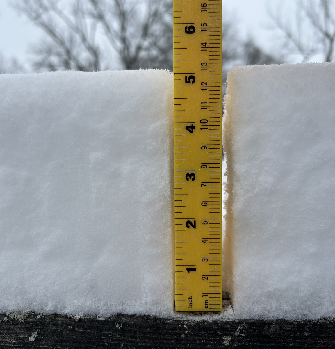 Nessakins_'s tweet image. A nice, pleasant, comfortable amount of snow.