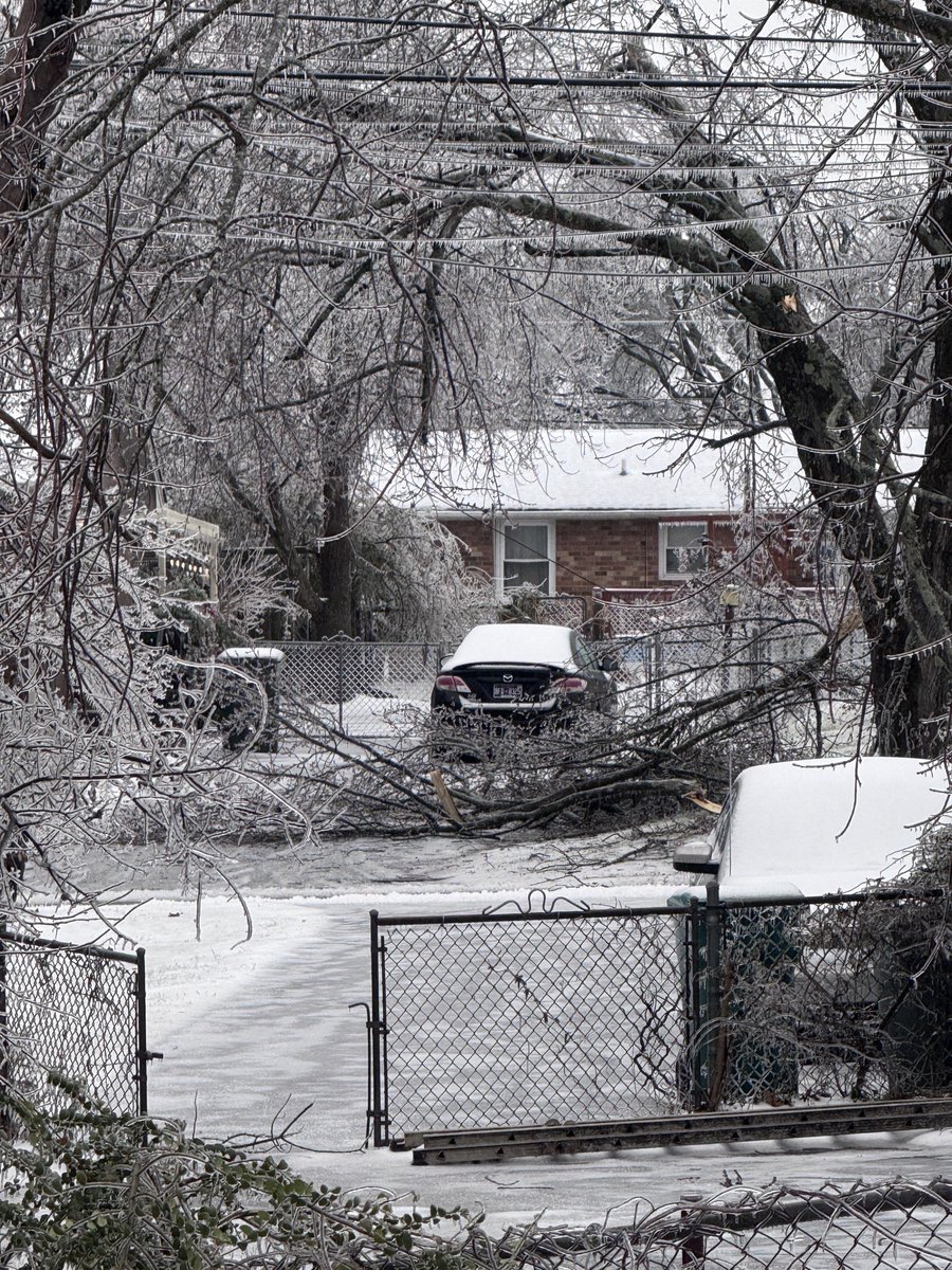 CSully615's tweet photo. @tspotter Hermitage/Big Horn Dr Area https://t.co/KH0F7dw5rP