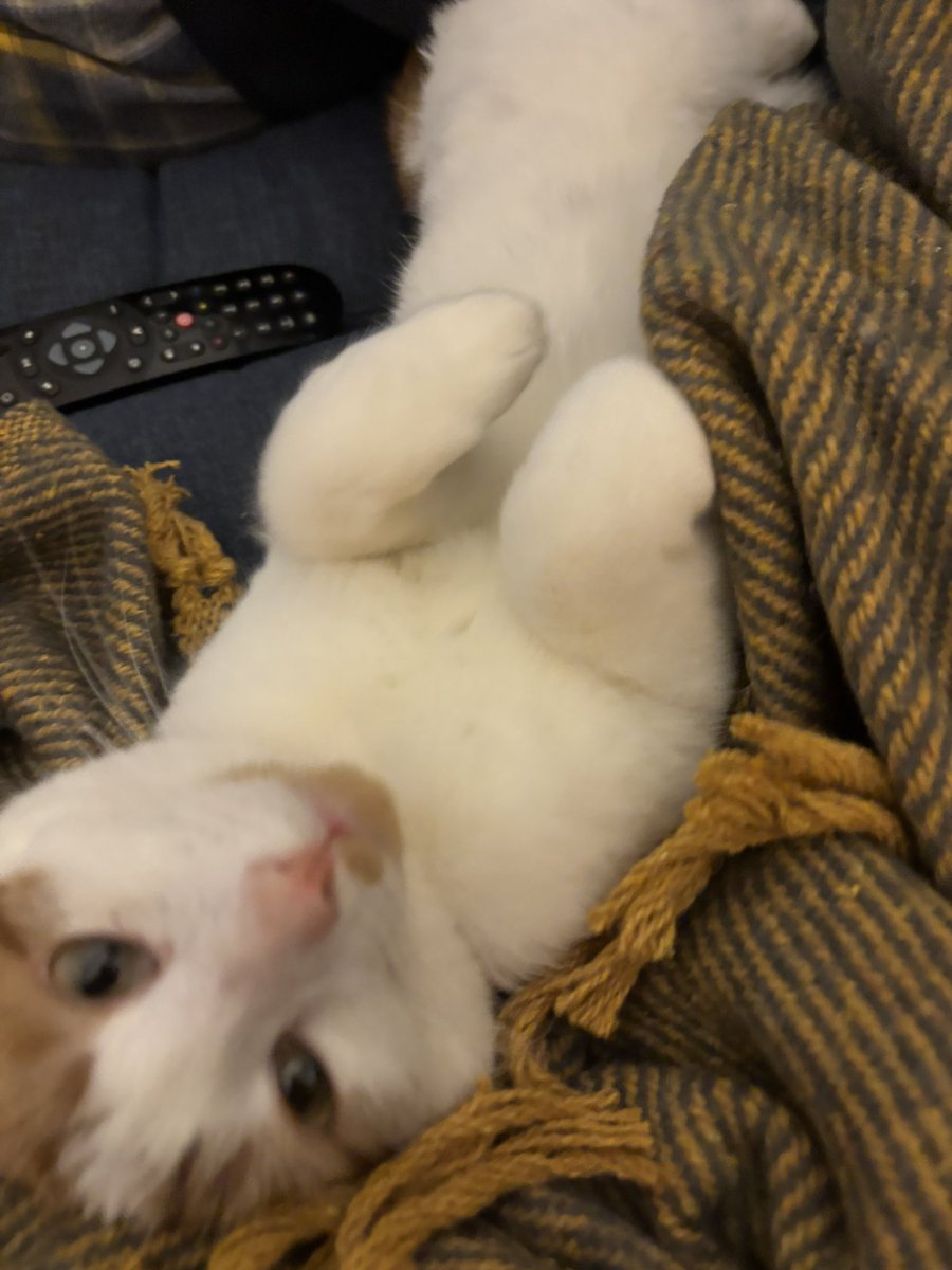 EllieSuthers tweet media