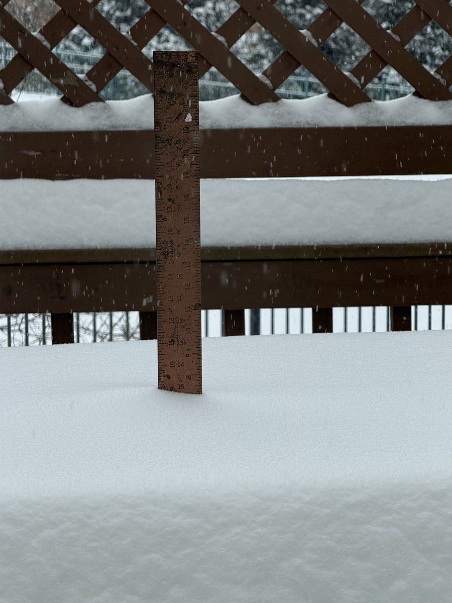 Marc Slaughter tweet media