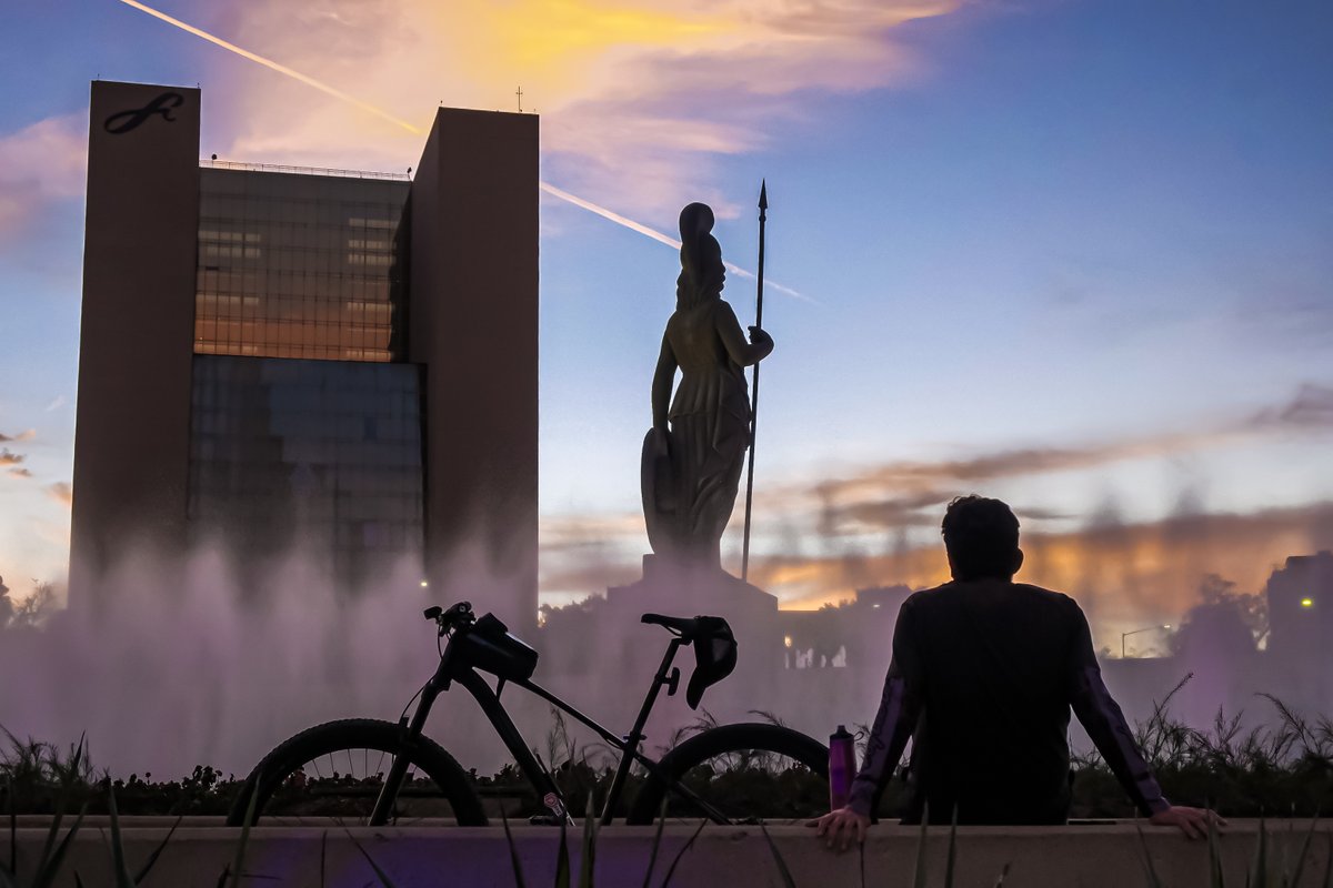 Pablo Lemus Navarro tweet media