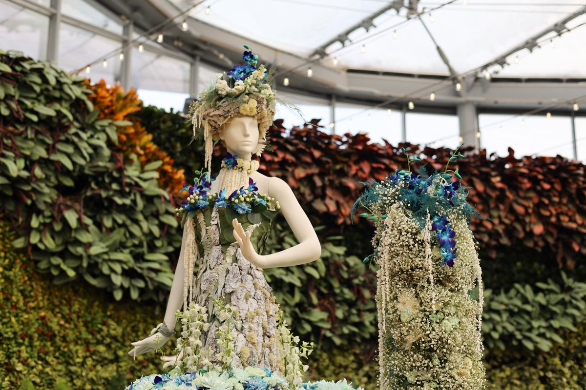 Colleen Zacharias tweet media