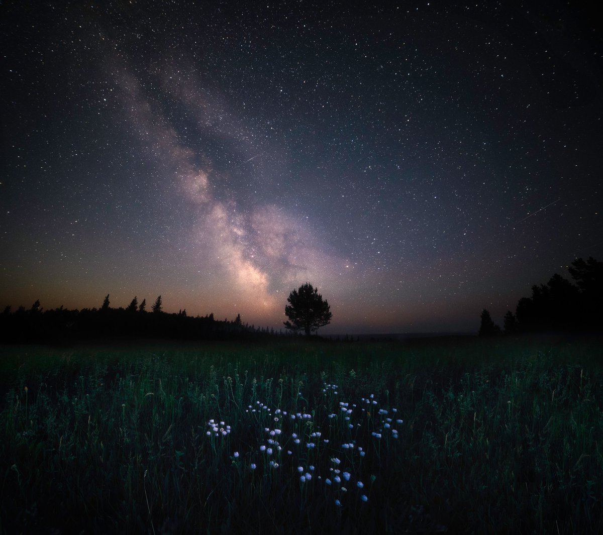 JamesAfineart's tweet photo. Photos I took at night https://t.co/2DmEJtu6iF