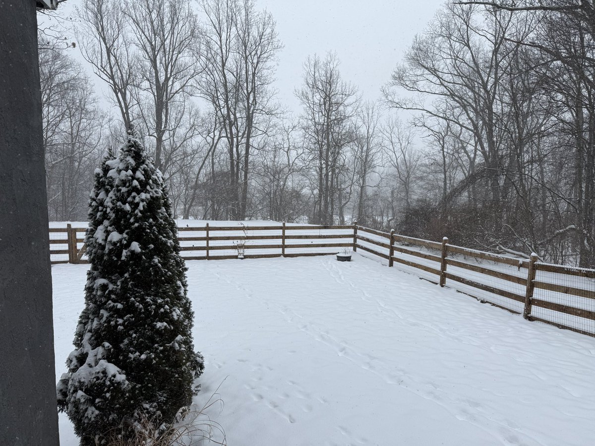 Chrissie tweet media