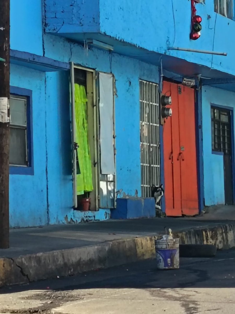 Está es la lomito que dejan amarrada, para la cual se busca quien tome el caso o ayude con hogar temporal