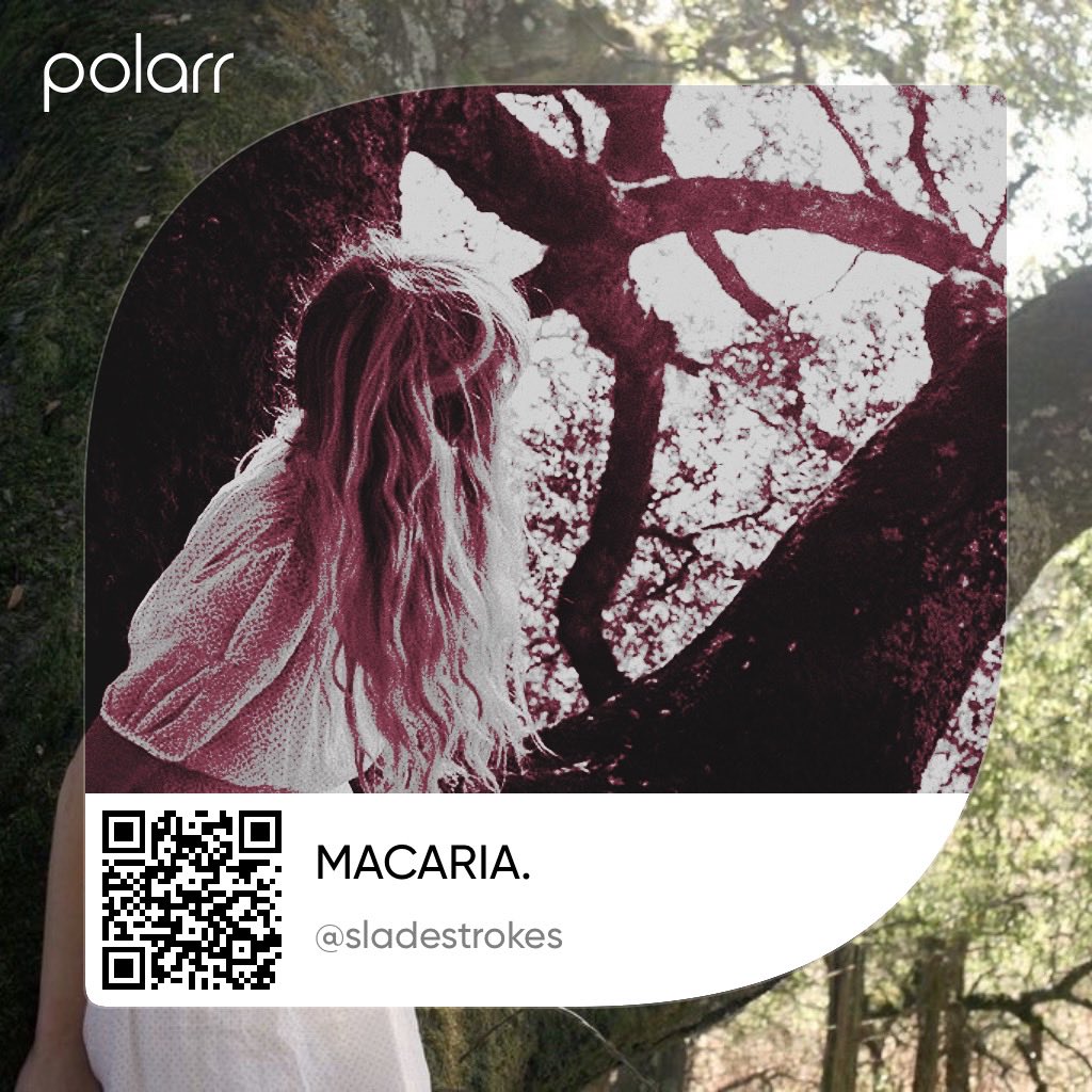  𖢻 s͟l͟a͟d͟e͟s͟t͟r͟o͟k͟e͟s͟. tweet media