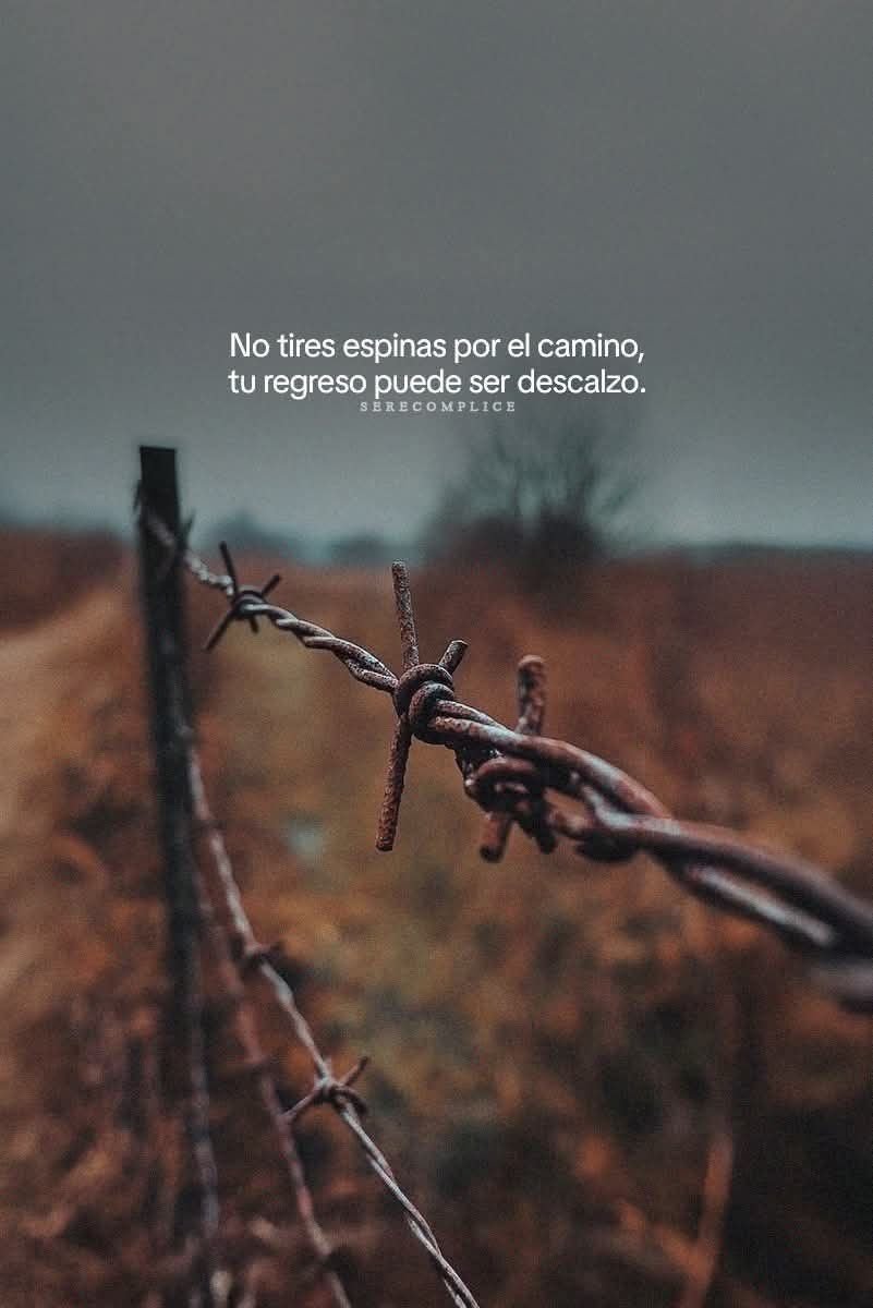Tu bro de confianza (@elgranbro) on Twitter photo 