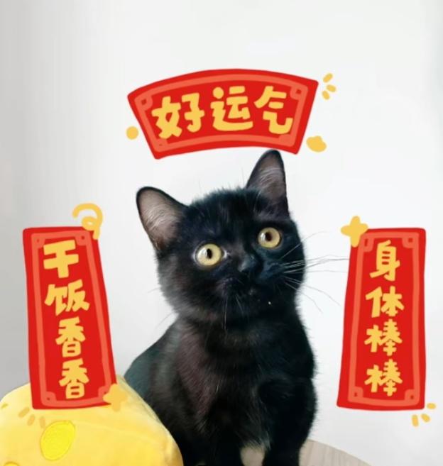 Vexthra's tweet photo. 吸一吸好运 https://t.co/DorjQkDG6g