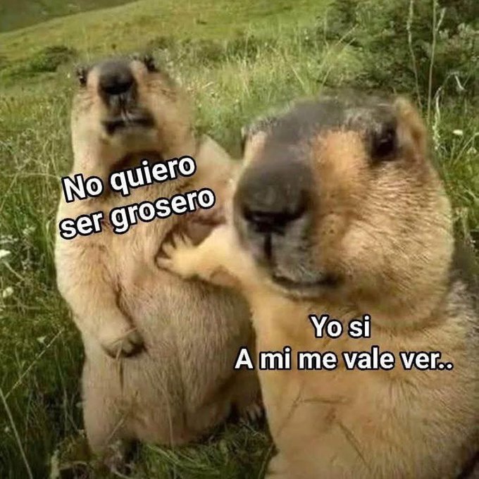 M O T I V A N D O T E (@m0tivand0te) on Twitter photo 