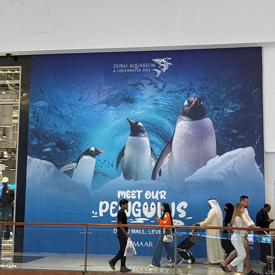 RuneCrypto_'s tweet photo. dubai mall now has penguins 

year of the penguin https://t.co/xnxneO9XLw