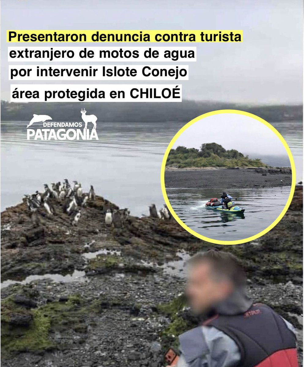 Desde la comunidad de Queilen, Chiloé, se presentó una denuncia formal ante Sernapesca contra turistas extranjeros, (presuntamente vinculados a una empresa rusa) que irrumpieron en el islote Conejo con motos de agua, vulnerando gravemente un área protegida por ley.

Este islote,